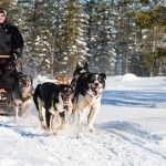 Excursión en trineo de huskys (Foto HelloLapland)