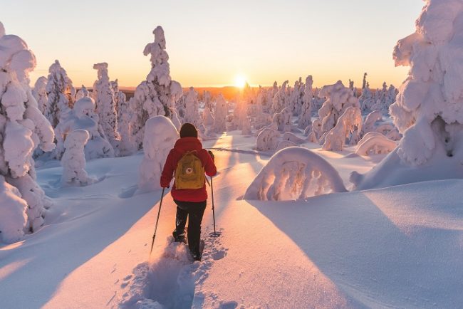 Bonitas vistas durante una excursión con raquetas de nieve en Ylläs