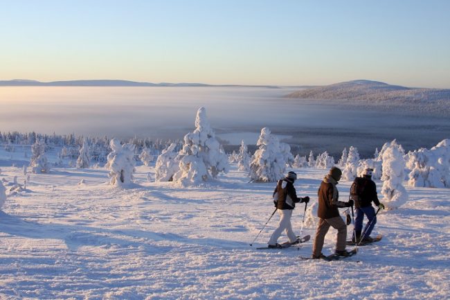 Excursión con raquetas de nieve en Levi 