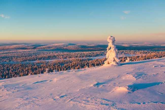 Laponia salvaje y espectacular desde algún rincón de Ylläs