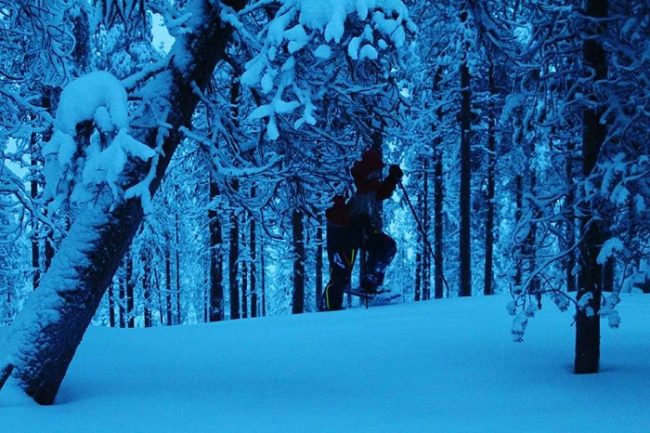 El bosque que rodea el lago Norvajärvi. Un lugar de encanto para realizar excursiones con raquetas de nieve 