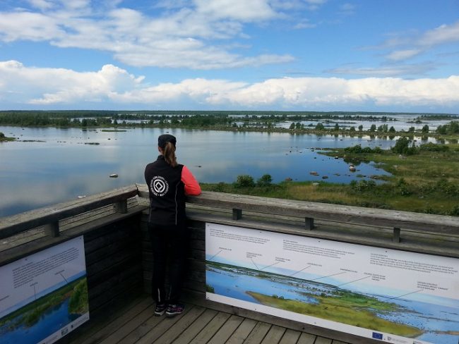 Bonita vista desde Svedjehamn en la isla de Björkö en el archipiélago de Kvarken 