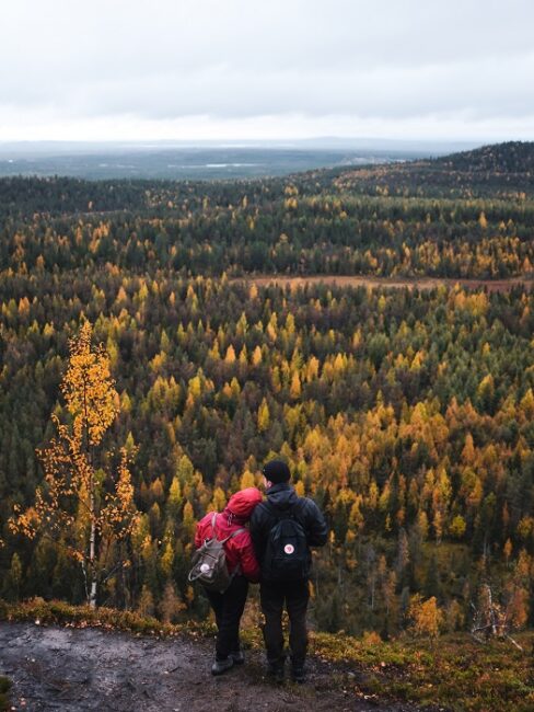 En-otoño-el-bosque-de-Laponia-se-tiñe-de-colores_fotoMariiaKauppi-VisitFinland
