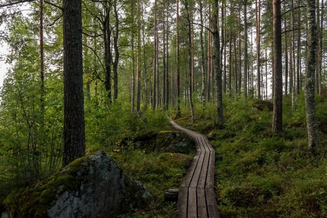 Alrededor-de-la-ciudad-de-Nurmes-hay-muchos-caminos-de-fácil-recorrido_fotoFennicaPohjoiseen