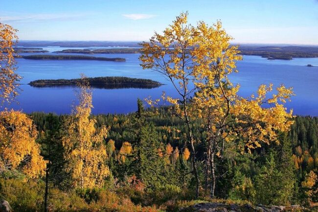 Vista-del-lago-Pielinen-desde-Ukko-Koli-en-el-Parque-Nacional-de-Koli_fotoVisitKoli