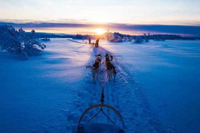 Excursión-con-perros-husky-en-Laponia_fotoKChae-HettaHuskies-VisitFinland