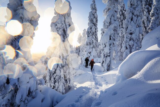 Excursión-con-raquetas-de-nieve-en-Laponia_fotoHarriTarvainen-VisitFinland