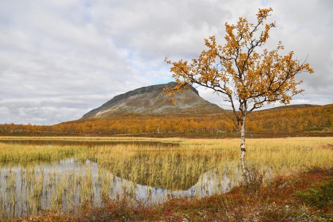 La-montaña-Saana-en-Kilpisjärvi-en-Laponia-durante-el-otoño_fotoSuviMansikkasal-VisitFinland