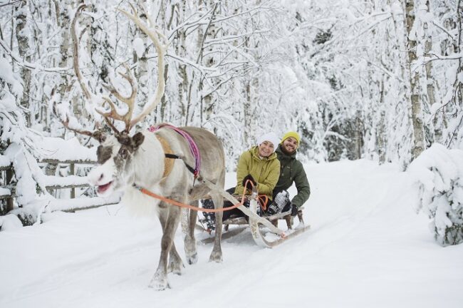 Paseo-con-renos-en-Laponia_fotoJuhoKuva-VisitFinland