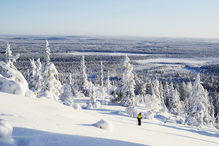 Las-vistas-de-Laponia-que-ofrece-Ylläs-son-espectaculares_fotoJuhaLaine-VisitFinland