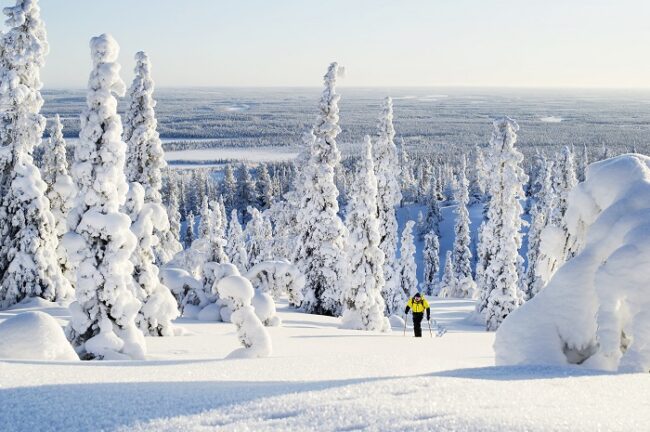 Ylläs-es-ideal-para-practicar-el-esquí-de-back-country_fotoJuliaKivelä-KuruResort-VisitFinland