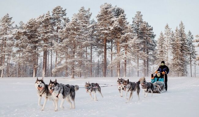 Durante-una-excursión-con-Bearhill-Husky_fotoJoelForsman