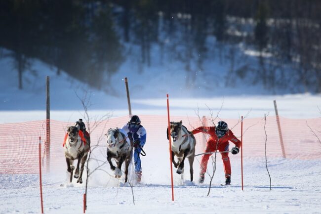 Carrera-de-renos-en-Hetta_fotoEnontekiöLapland