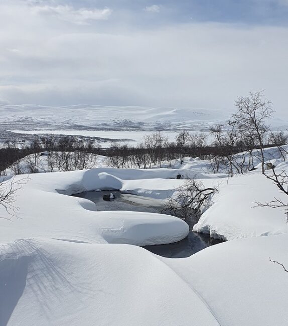 El-paisaje-en-Hetta-se-antoja-bien-salvaje_fotoEnotekiöLapland