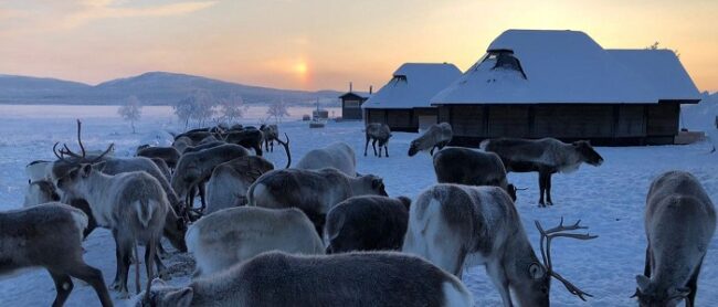 Cabañas-con-techo-de-cristal-en-Hetta_fotoEnontekiöLapland