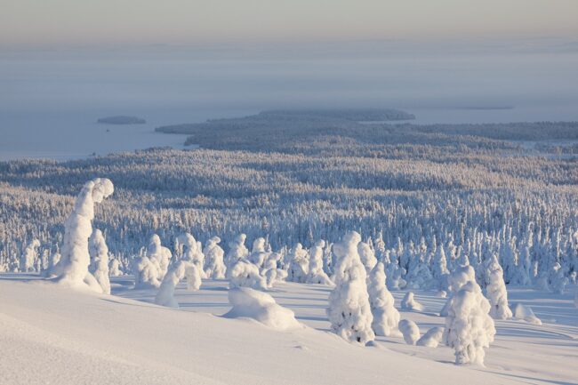 Paisaje-de-invierno-en-Laponia_fotoVisitFinland